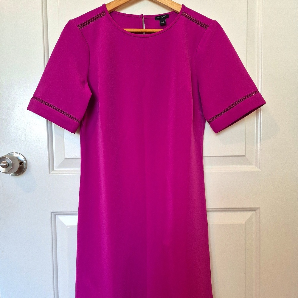 NWT! Ann Taylor Factory Pink Short-Sleeve Dress, XS